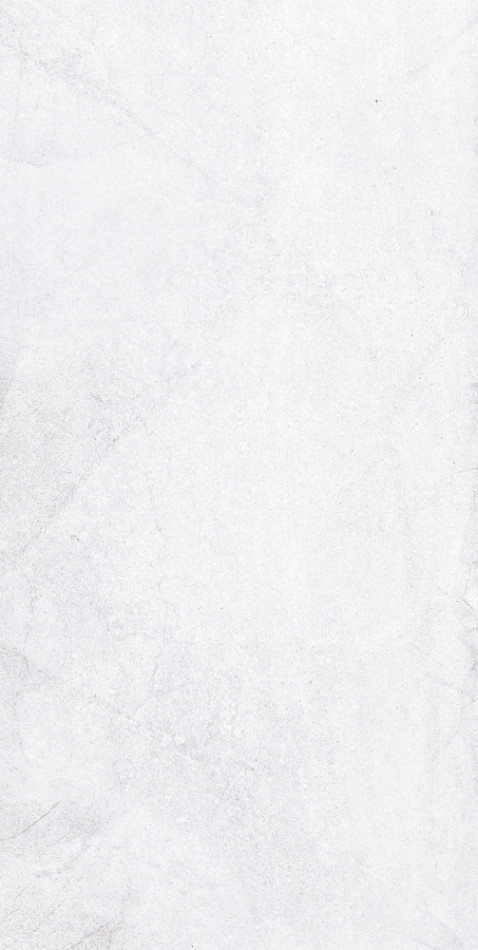 Плитка LB-Ceramics 40x20 Кампанилья настенная серый 1041-0245 матовая светло-серый Плитка LB-Ceramics 40x20 Кампанилья настенная серый 1041-0245 матовая светло-серый