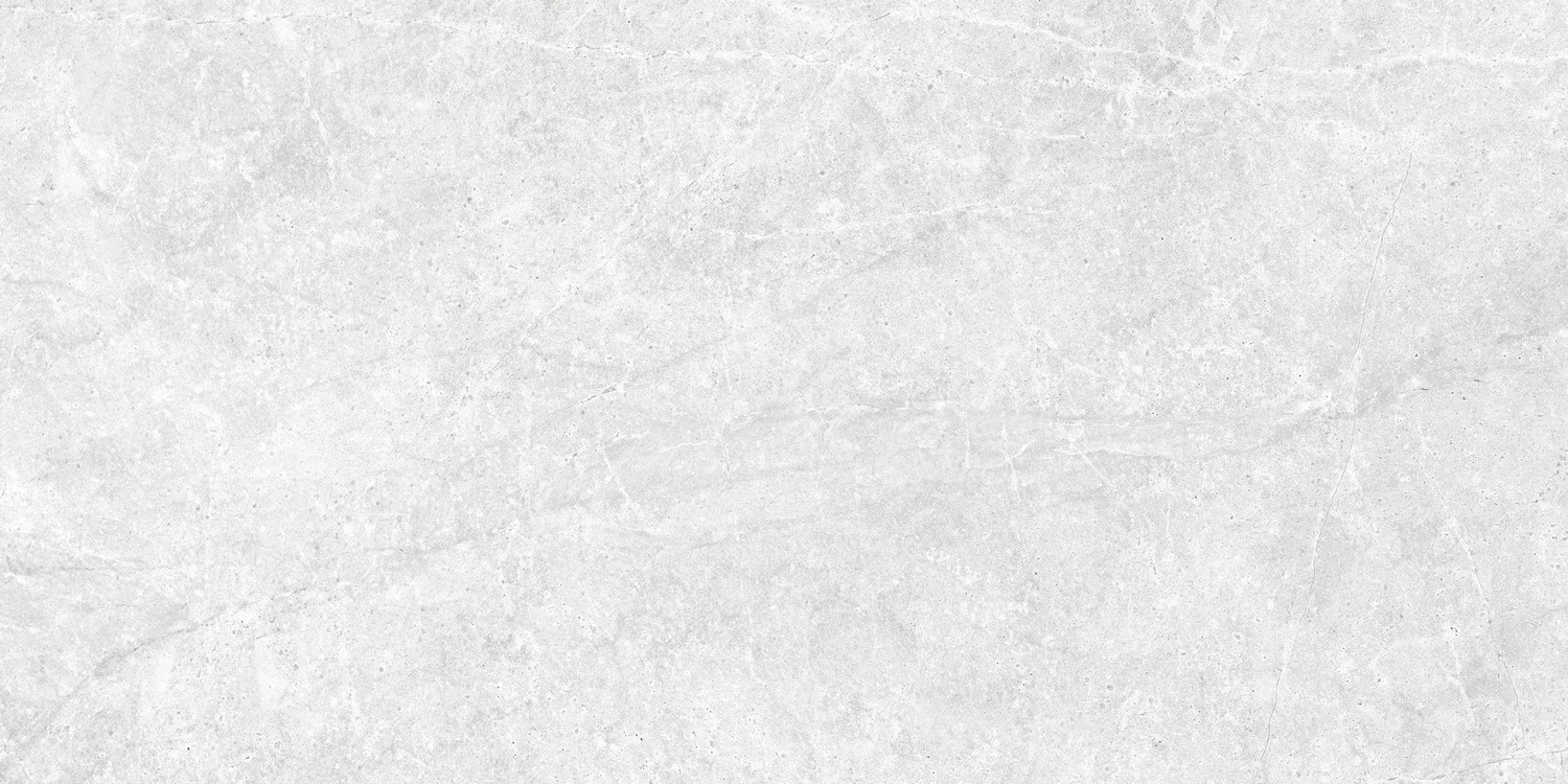 Керамогранит Керамин 60x30 Хофбург серый матовая светло-серый Керамогранит Керамин 60x30 Хофбург серый матовая светло-серый