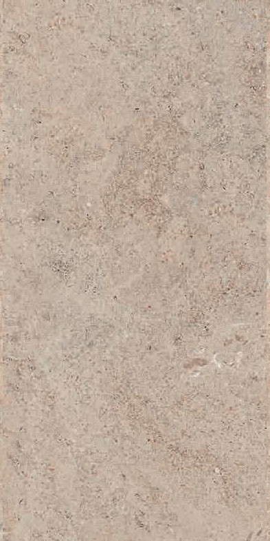 Керамогранит Bottega Lithoteke Limestone Rt 120x60 Керамогранит Bottega Lithoteke Limestone Rt 120x60