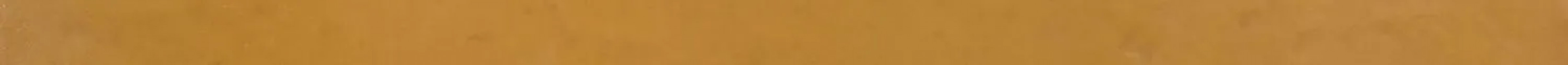 Бордюр List. Colorful Ochre 5x120 ABK Бордюр List. Colorful Ochre 5x120 ABK