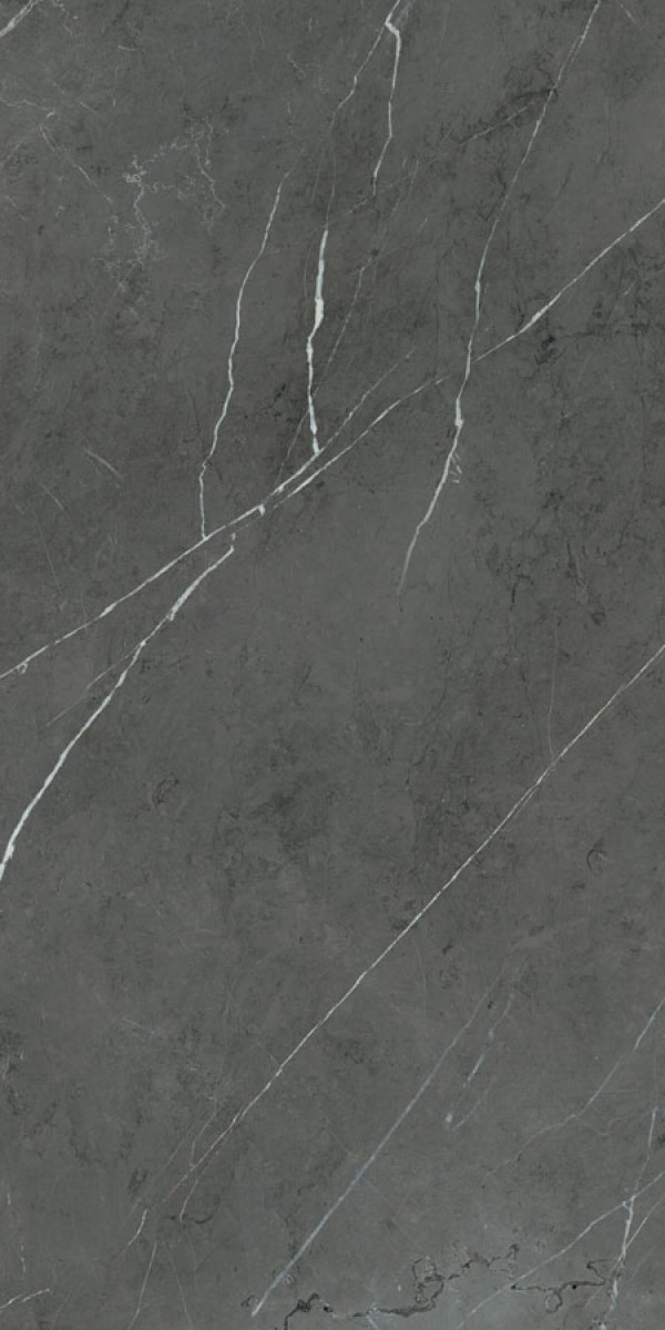 Керамогранит Ariana 120x60 Nobile Grey Grafite Lux+ полированная 9мм Керамогранит Ariana 120x60 Nobile Grey Grafite Lux+ полированная 9мм