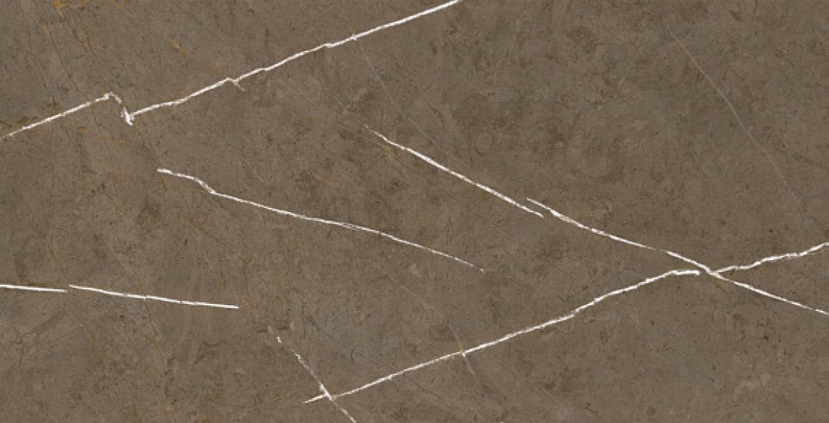 Керамогранит 120x60 Stone Brown Bhm-5009 матовая Basconi Home Керамогранит 120x60 Stone Brown Bhm-5009 матовая Basconi Home