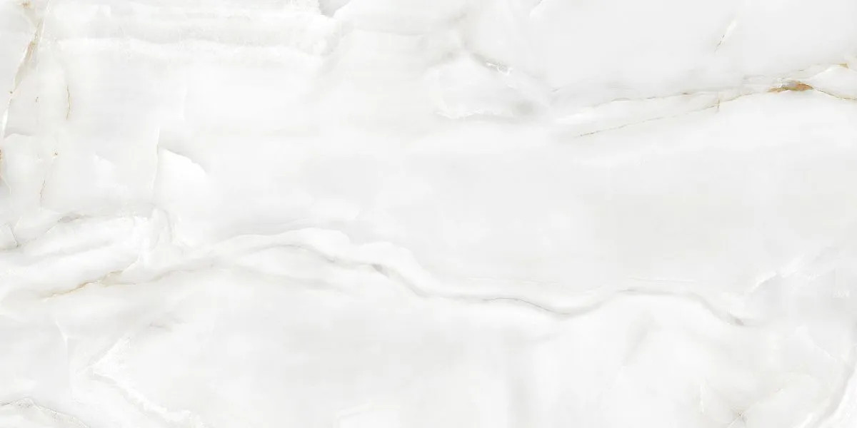 Керамогранит EC.Eternal white 004 PL 60x120 Ecoceramic Керамогранит EC.Eternal white 004 PL 60x120 Ecoceramic