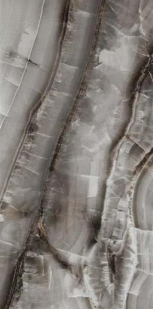 Керамогранит Sevilla Graphite Polished Rec 60x120 Etili Seramik Керамогранит Sevilla Graphite Polished Rec 60x120 Etili Seramik