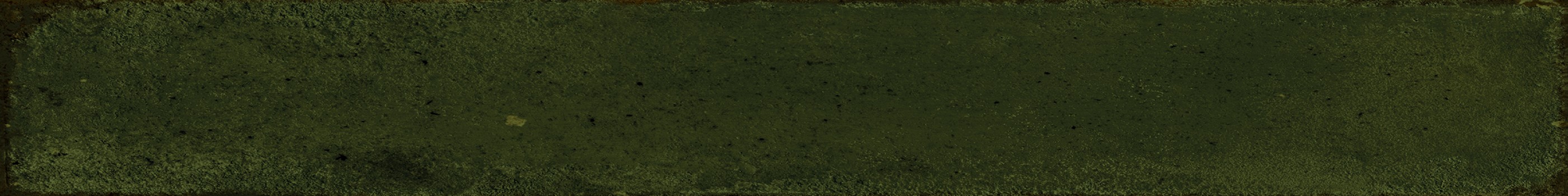 Плитка для ванны 40x5 Сердена зеленая 1 глянцевая Monopole Плитка для ванны 40x5 Сердена зеленая 1 глянцевая Monopole