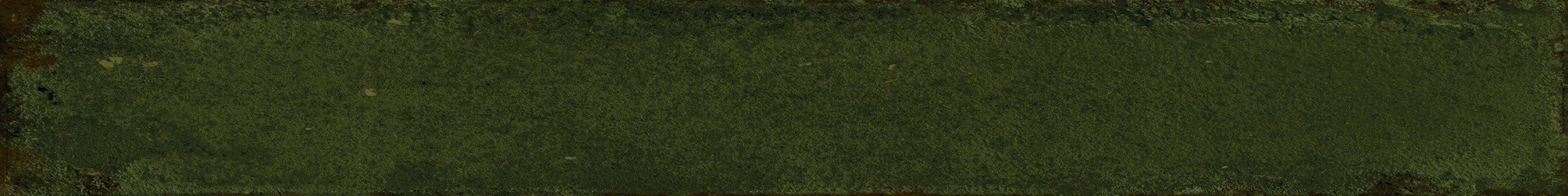 Плитка для ванны 40x5 Сердена зеленая 1 глянцевая Monopole Плитка для ванны 40x5 Сердена зеленая 1 глянцевая Monopole
