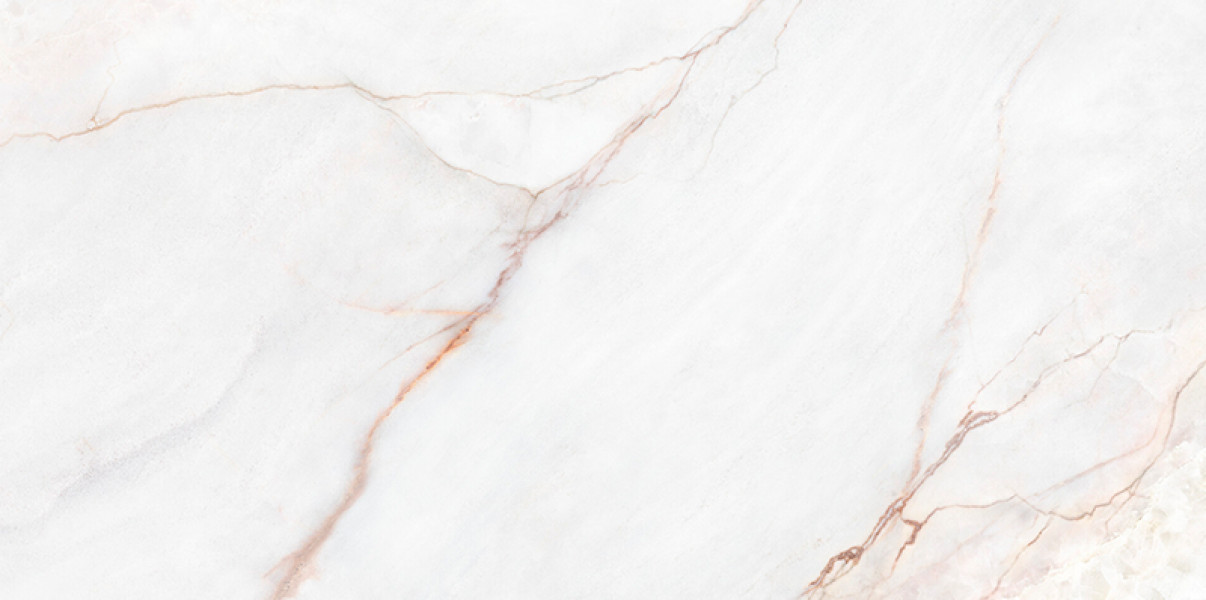 Керамогранит 120x60 Dahlia White Nt C R матовая Museum Керамогранит 120x60 Dahlia White Nt C R матовая Museum