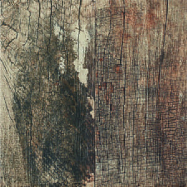 Керамогранит 30x30 Distressed Bohemian гладкая матовая коричневый New Tiles Керамогранит 30x30 Distressed Bohemian гладкая матовая коричневый New Tiles