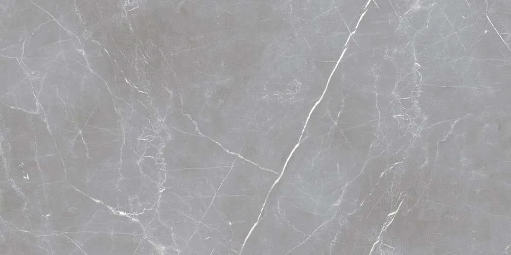 Керамогранит Arion Gray Dark 60x120 Ocean Ceramic Керамогранит Arion Gray Dark 60x120 Ocean Ceramic