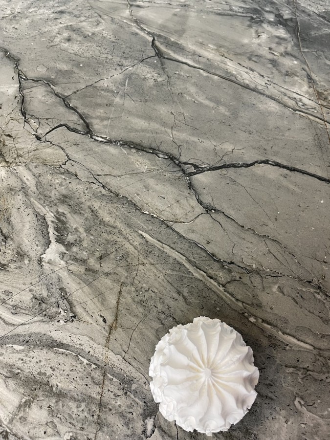 Плитка настенная 120x60 Крафт Хазель серый матовый матовая Realistik Плитка настенная 120x60 Крафт Хазель серый матовый матовая Realistik