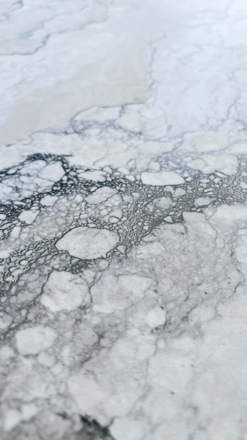 Плитка настенная 160x80 Рок Пенгуин белый матовый карвинг матовая Realistik Плитка настенная 160x80 Рок Пенгуин белый матовый карвинг матовая Realistik