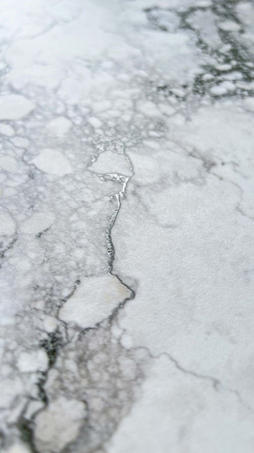 Плитка настенная 160x80 Рок Пенгуин белый матовый карвинг матовая Realistik Плитка настенная 160x80 Рок Пенгуин белый матовый карвинг матовая Realistik