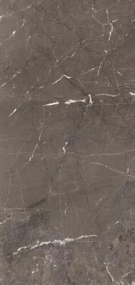 Керамогранит Heritage Luxe Brown Glossy 60x120 Rex Ceramiche Керамогранит Heritage Luxe Brown Glossy 60x120 Rex Ceramiche