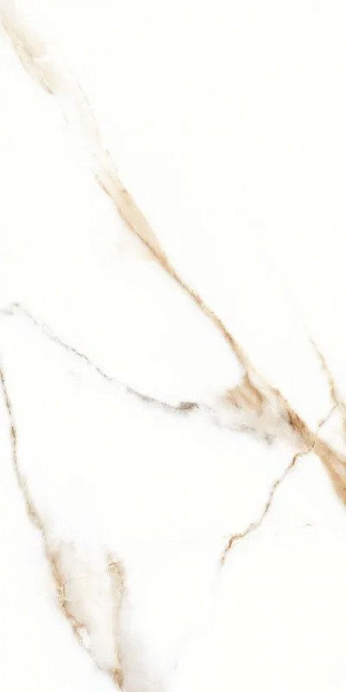 Керамогранит P.E. Lumiere natural mt rect. 60x120 STN Ceramica Керамогранит P.E. Lumiere natural mt rect. 60x120 STN Ceramica