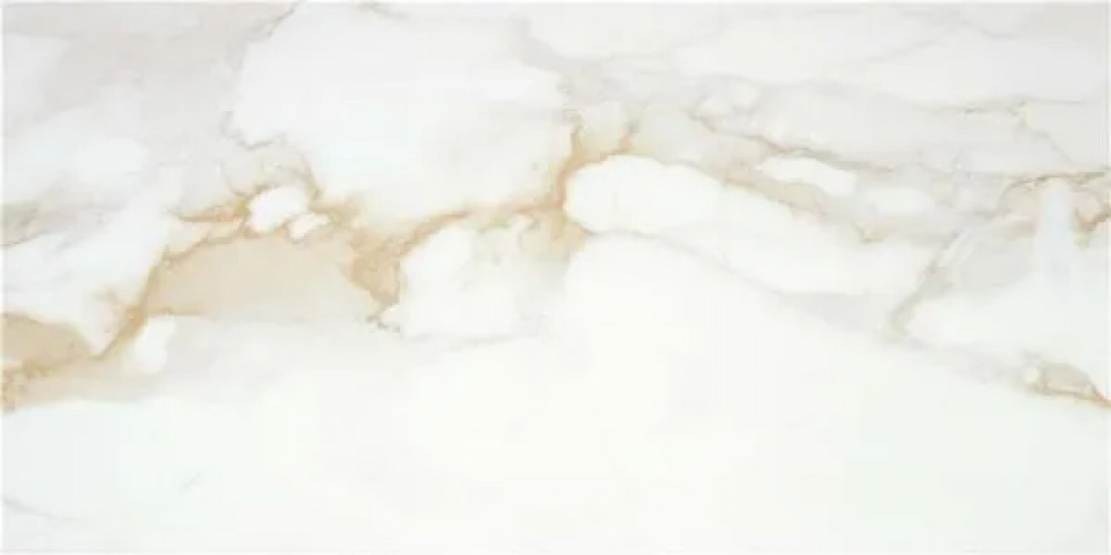 Керамогранит P.E. Pul. Camile Gold Rect 60x120 STN Ceramica Керамогранит P.E. Pul. Camile Gold Rect 60x120 STN Ceramica