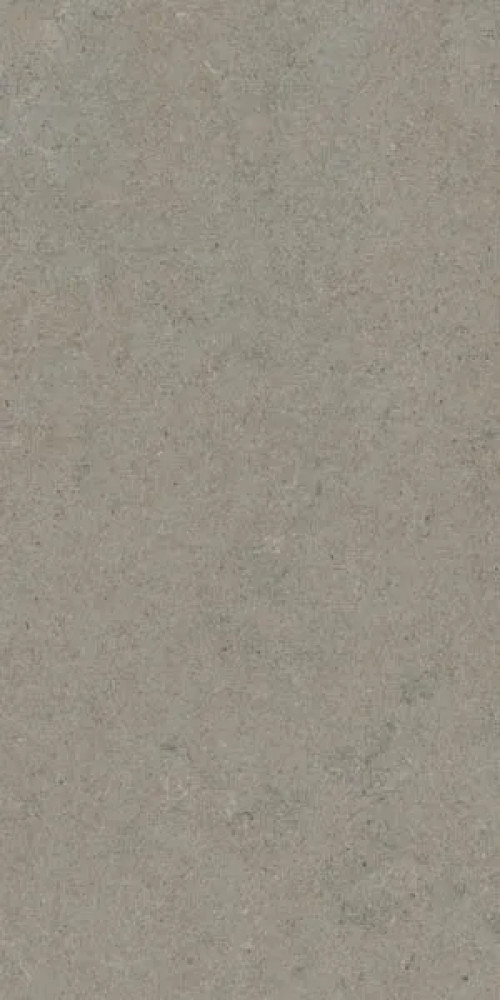 Керамогранит Calcare Greige 60x120 TAU Ceramica Керамогранит Calcare Greige 60x120 TAU Ceramica