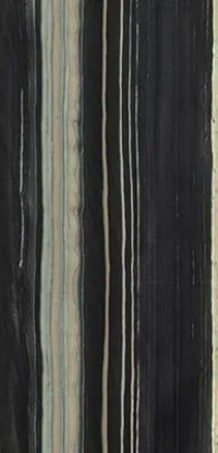 Керамогранит Bosco Black Nat 120x280 TAU Ceramica Керамогранит Bosco Black Nat 120x280 TAU Ceramica