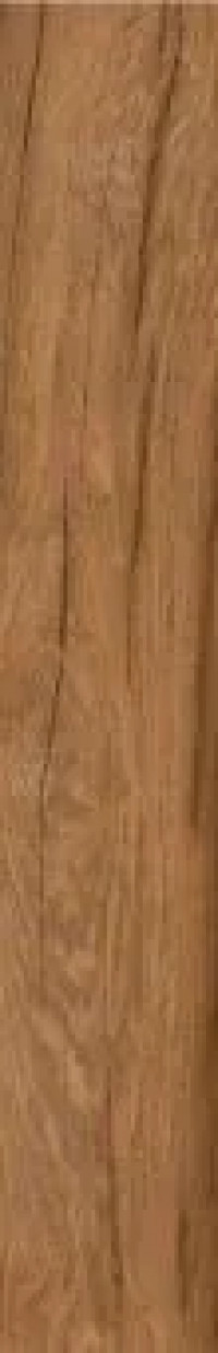 Керамогранит Loire Umber 20x120 TAU Ceramica Керамогранит Loire Umber 20x120 TAU Ceramica