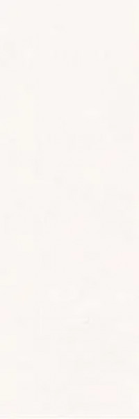 Плитка настенная Jardin White Matt. Rec 40x120 Villeroy & Boch Плитка настенная Jardin White Matt. Rec 40x120 Villeroy & Boch